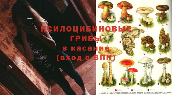 дурь Белоозёрский
