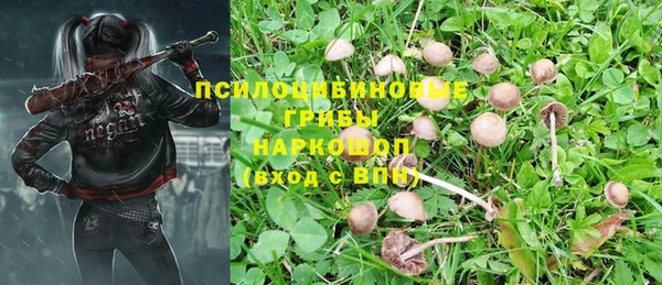 марки nbome Беломорск